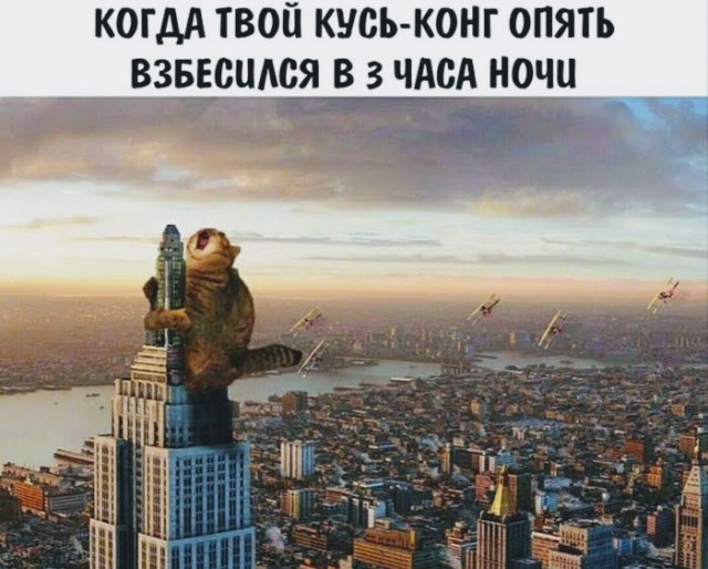 Немного картинок в этот четверг