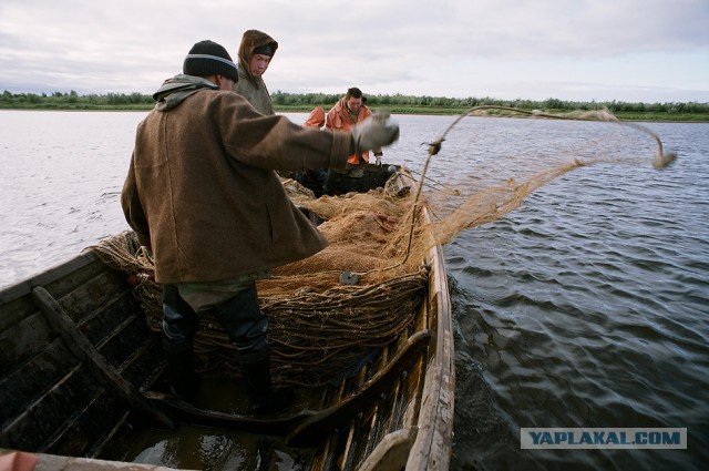 Один день рыбака в п.Тазовский