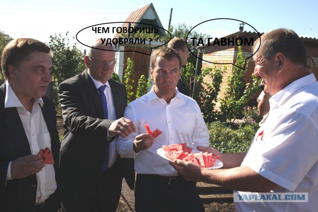 Прям из Библии фото: Криминальный авторитет искушает президента и премьера яблоком