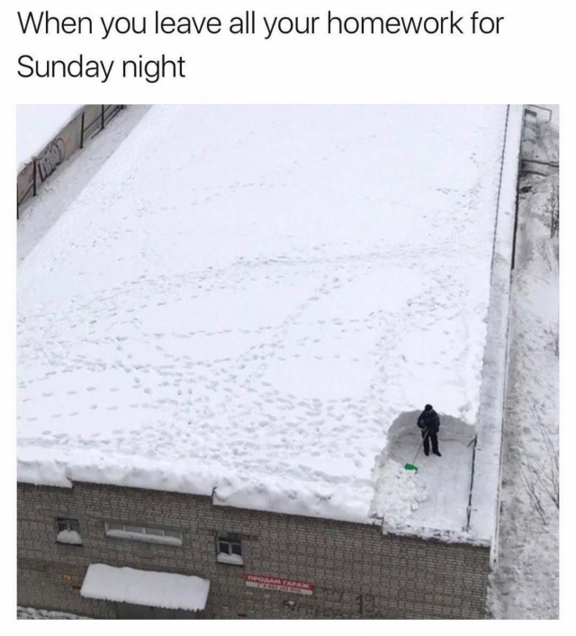 Мем "Снег на крыше"