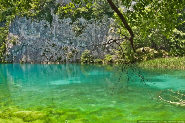 Хорватия. Плитвитские озера.