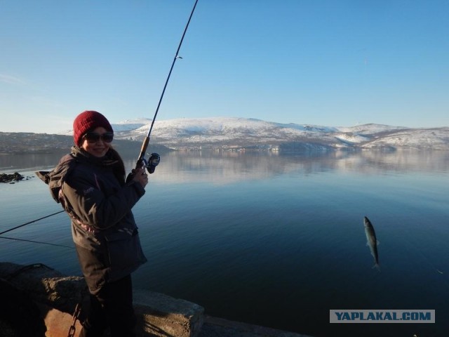 Морское меню Колымского рыбака