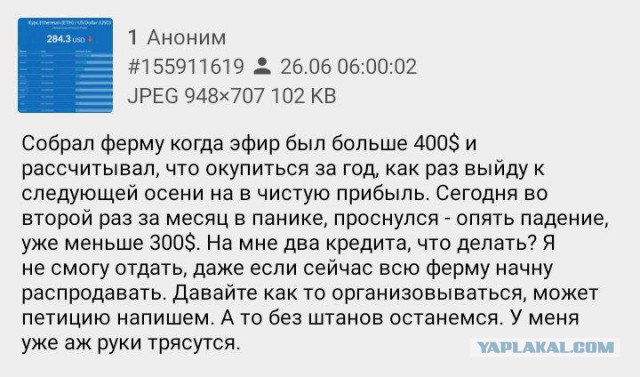 В России возник острый дефицит видеокарт. Причина – рост популярности «добычи» криптовалюты