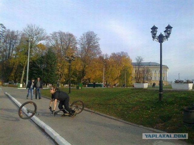 Подборка картинок ...