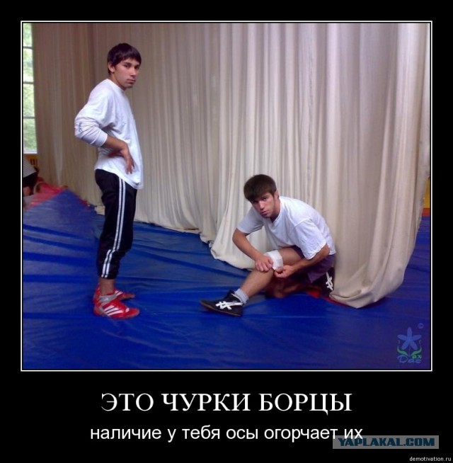 Пословицы для борца Пословицы для борца