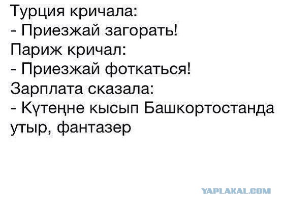 5568745.jpg