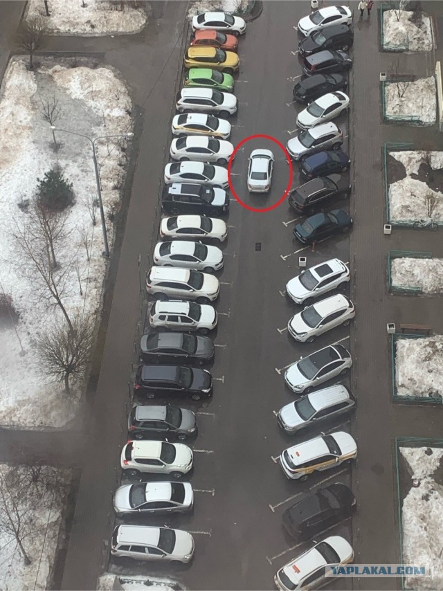 Три тополя на парковке
