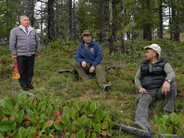 Путин и Шойгу насобирали грибов в тайге