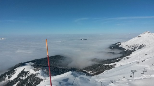 Как разводят туристов в Сочи