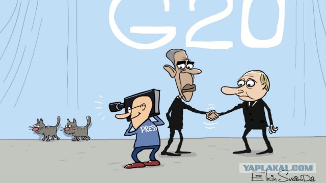 Турецкие коты на G20