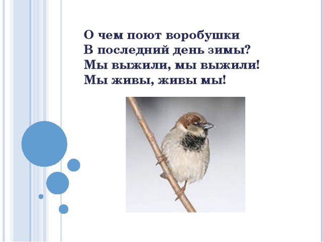 Стих о чем поют воробушки Стих о чем поют воробушки
