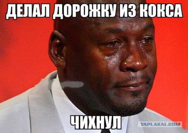 4261955.jpg