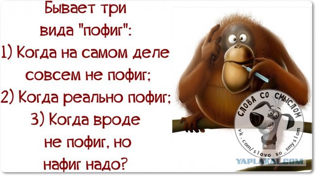 Стих о том что все пофигу Стих о том что все пофигу