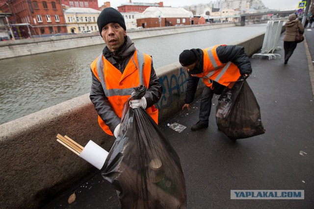 Лебедь чистит озеро от мусора в самом центре Казани