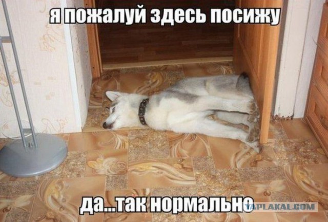http://s00.yaplakal.com/pics/pics_preview/5/6/9/2525965.jpg