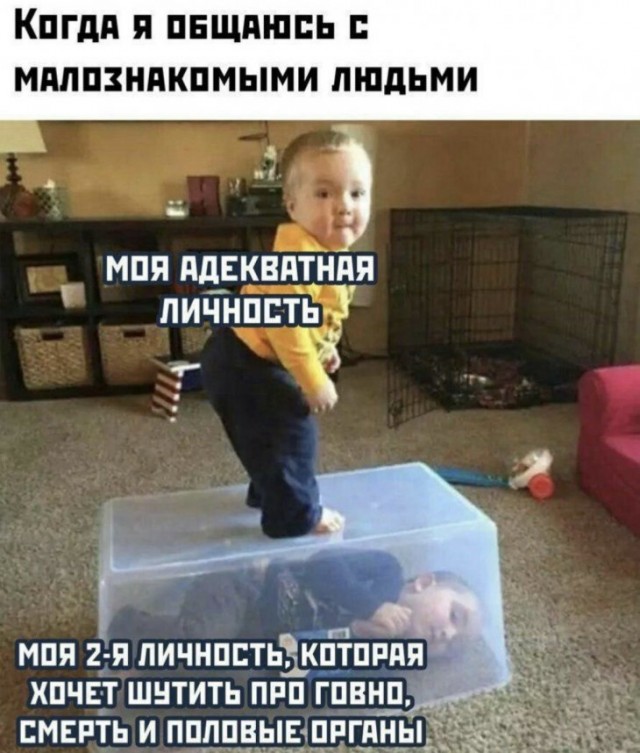 13588175.jpg