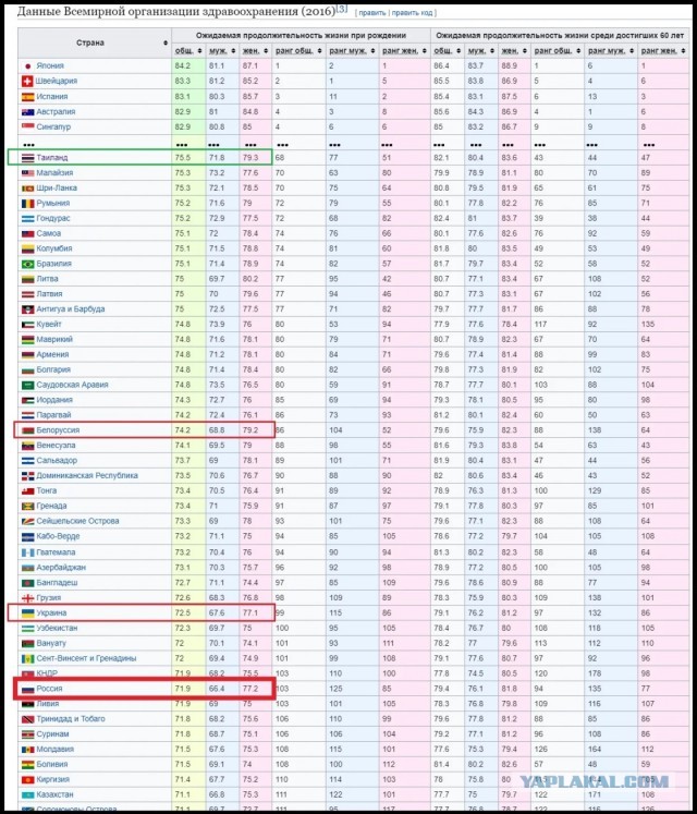 11 мгновений Ночного Таиланда - куда заводят мечты типичного Холостяка.