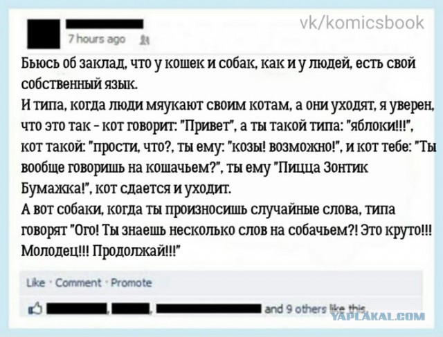 Как ваша кошка пытается с вами поговорить