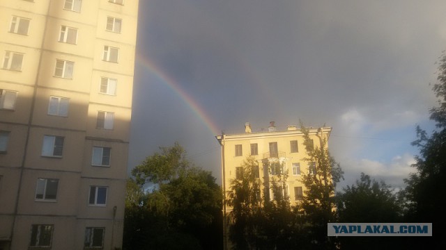 Покажите ваш лучший снимок на самую простую мыльницу или мобильник.