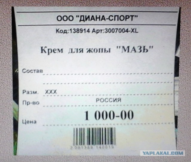 6515095.jpg
