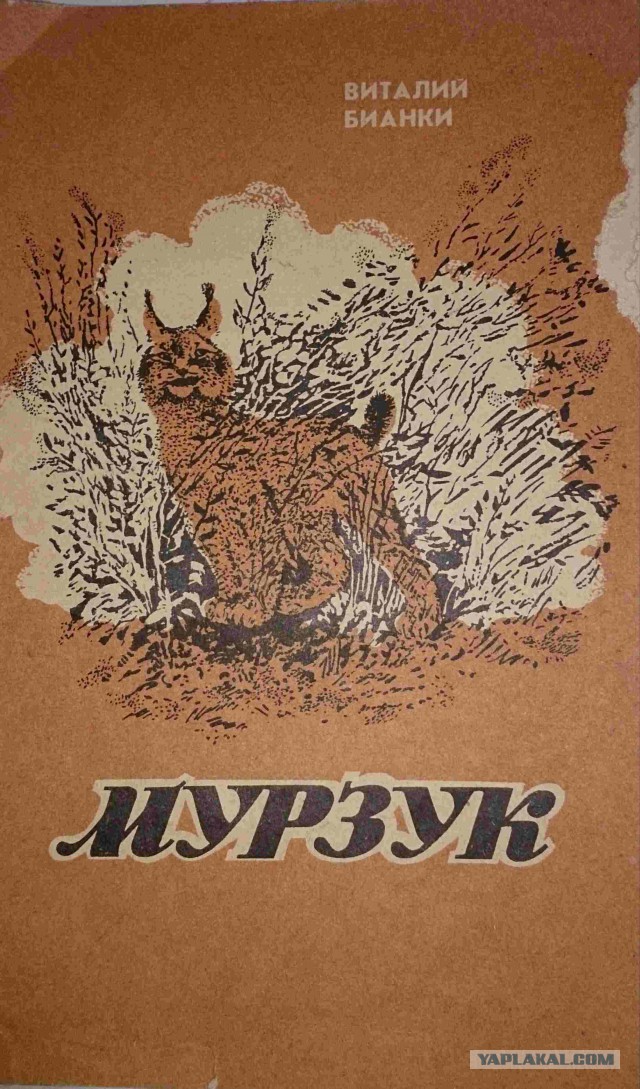 Катти Мурзук возбудила саму с себя