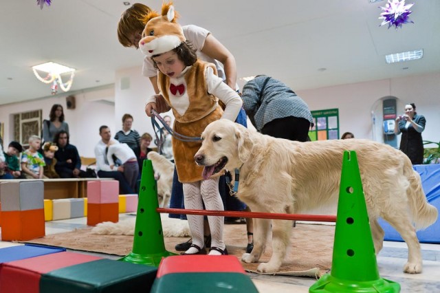 Лечение детей с помощью собак