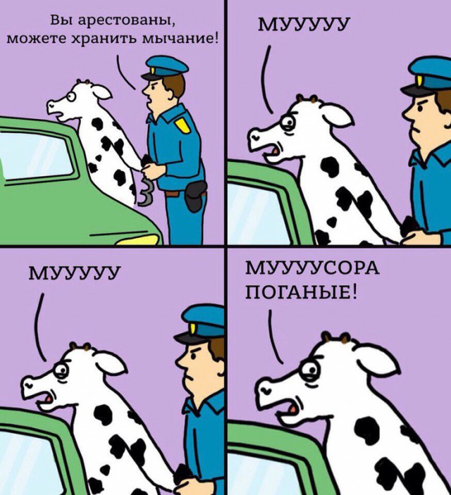 Юмор не для всех