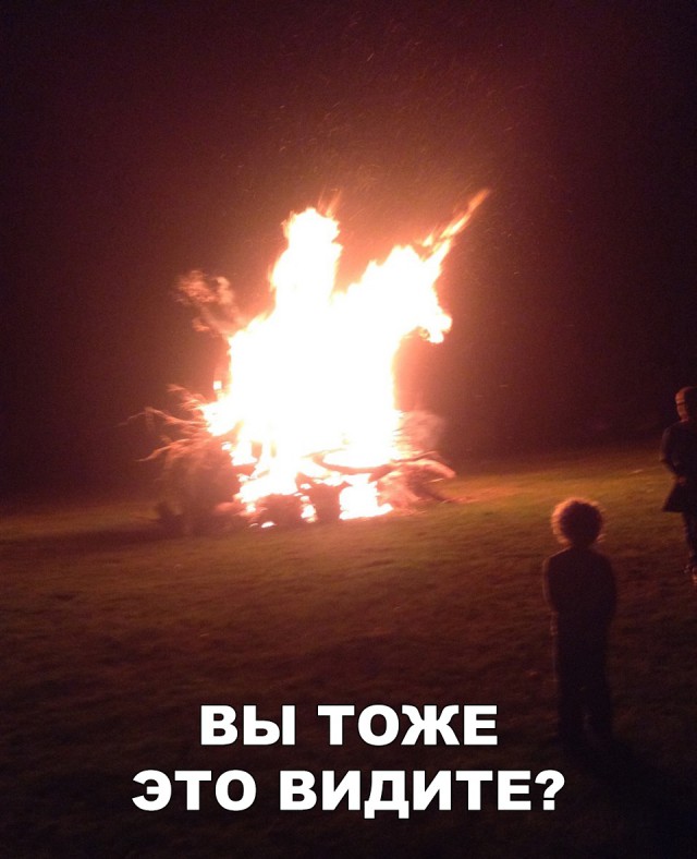 12108595.jpg