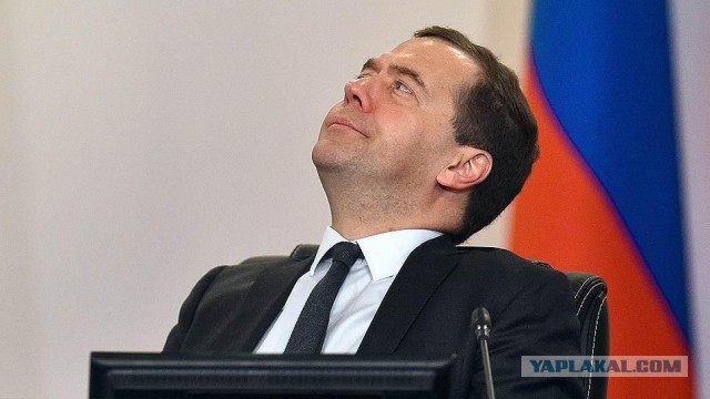 Медведев захотел развивать российские села