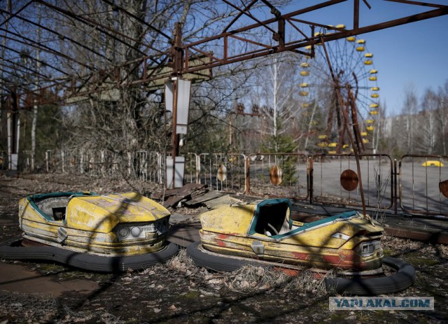 Чернобыльский долгожитель