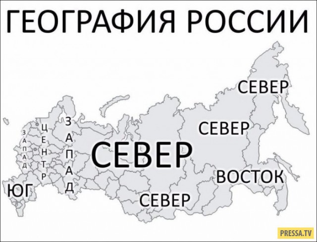 10097106.jpg