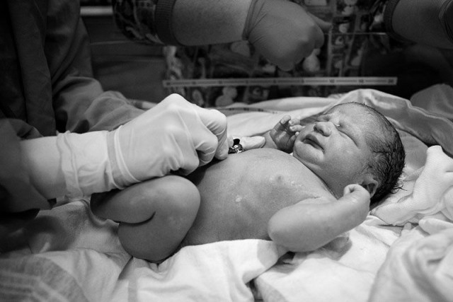 Рождение новой жизни (19 фото)