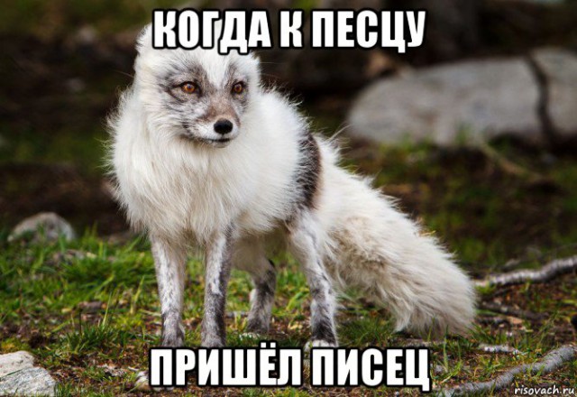 Статус хреново это когда Статус хреново это когда