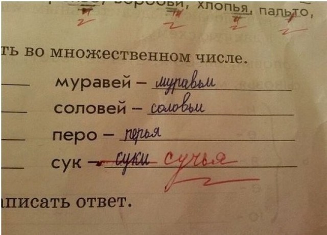 Гениальные ответы