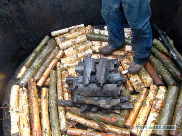Уголь берёзовый своими руками 76