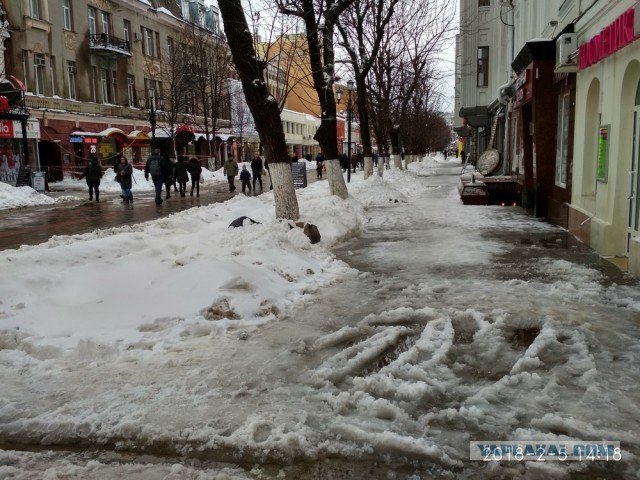 Просто снег, который выпал зимой не в Москве