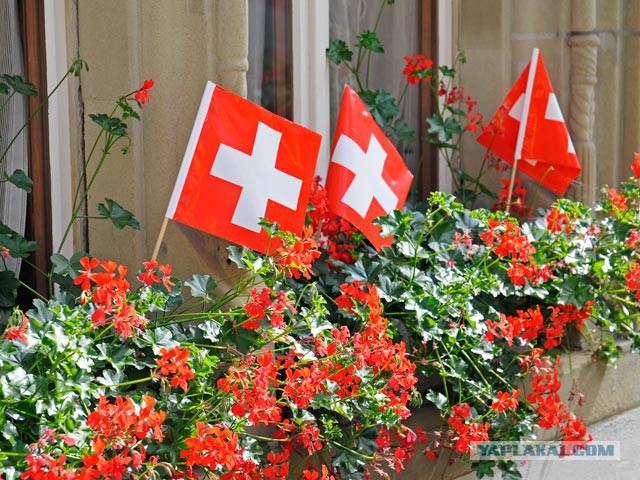 Толерантность начинает надоедать Швейцарцам