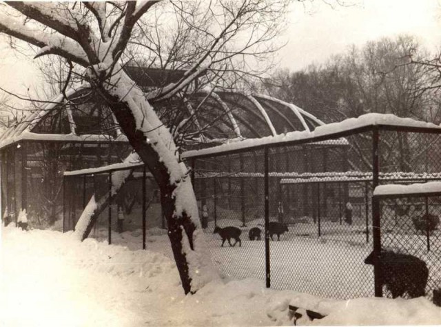 Из истории Московского зоопарка
