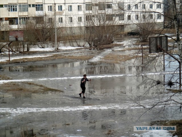 Цирк уехал, клоуны остались