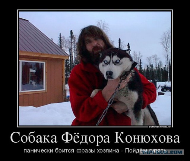 «Многие отговаривают, называют психом, живодером».Житель Мурманска отправился в пешее путешествие до Владивостока со своим котом