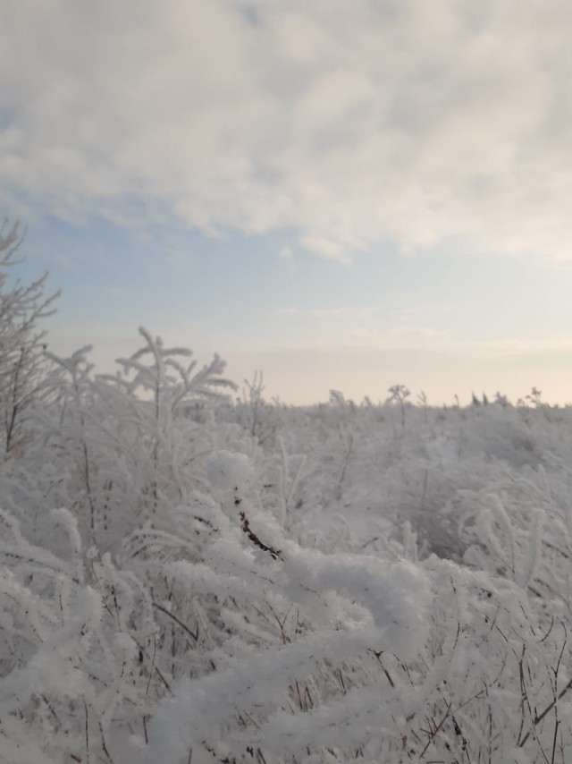 Немного зимних фото