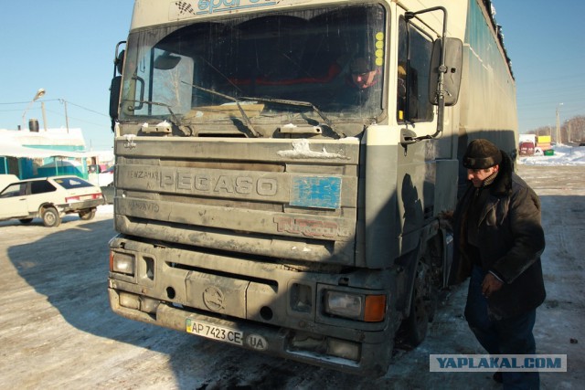 Пензенские Бизоны