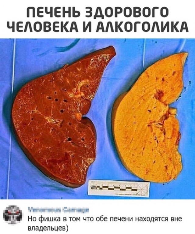 Не очень адекватный юмор