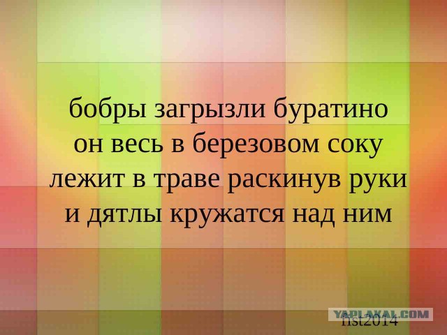 Не в склад,не в лад,поцелуй бревно в живот