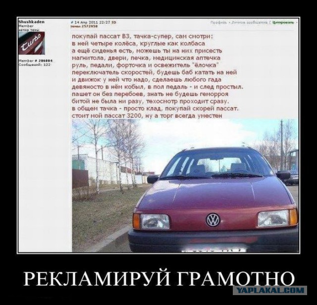 7812826.jpg