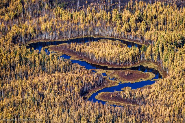 Осенние краски якутской тайги с вертолета