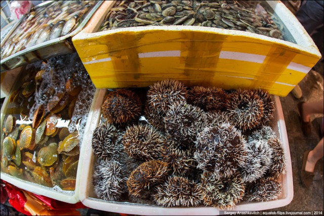 Небелорусские креветки или рынок морских гадов