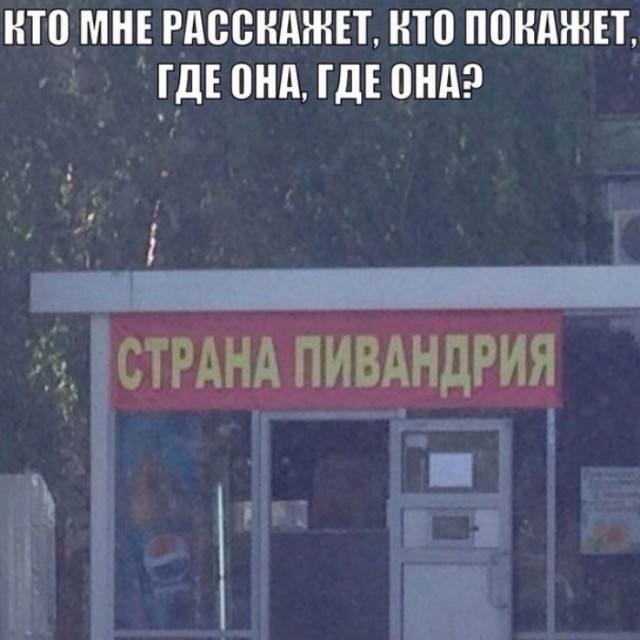 9543336.jpg