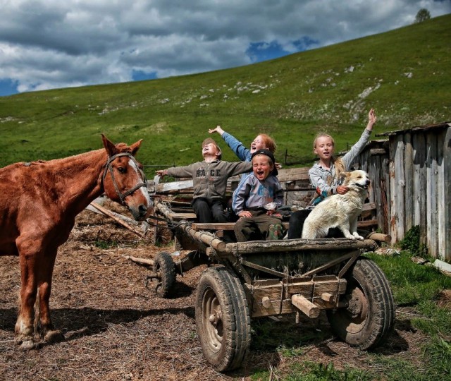 Каникулы в деревне