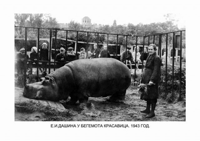 Интересные и редкие ретро-фотографии